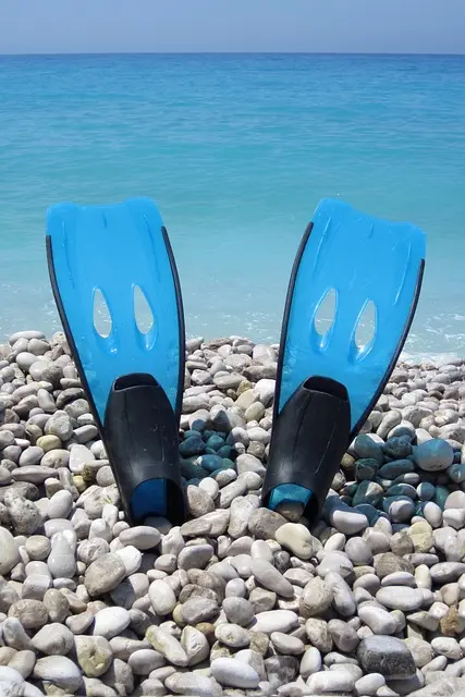 A pair of diving fins on a stony shore