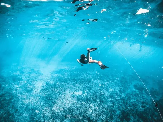 A snorkeler swims underwater