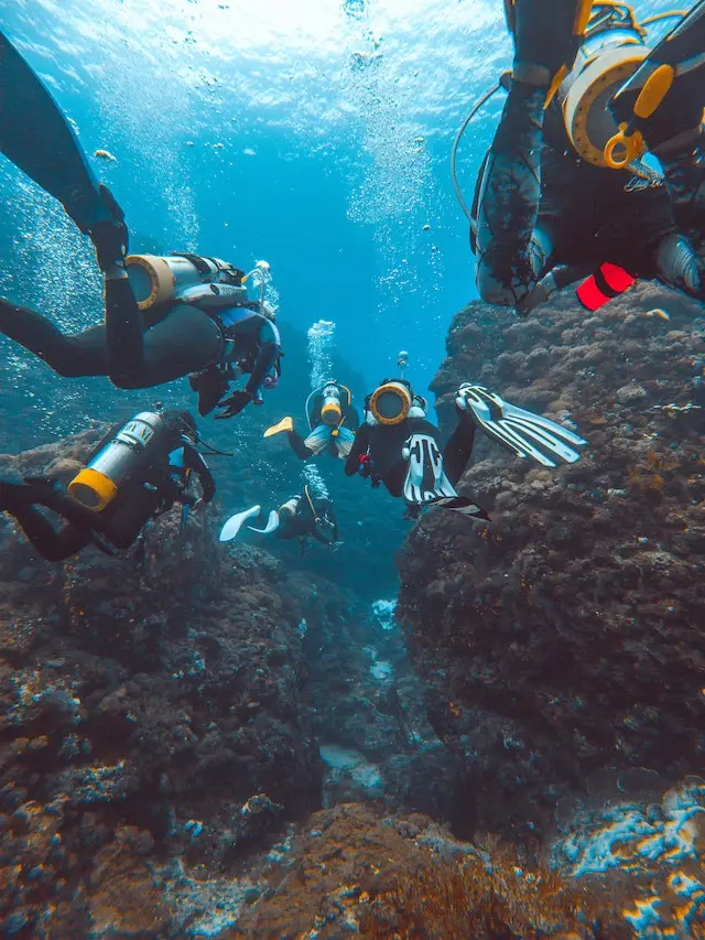 Divers in diving equipment underwater